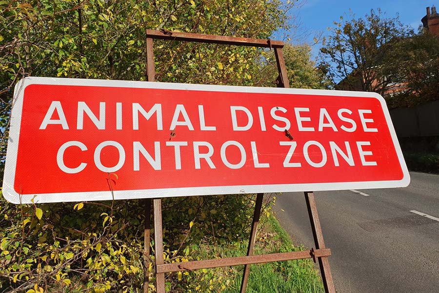 A signpost advising of an Avian Flu infection zone, Chelsworth, Suffolk, England, UK November 2022